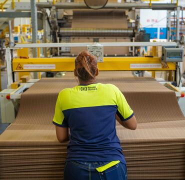 WERKIS smurfit 1