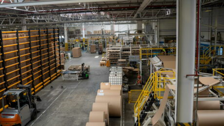 WERKIS smurfit 58